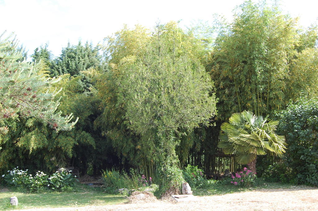 Gite Le Gre Chantemerle-les-Grignan Ngoại thất bức ảnh